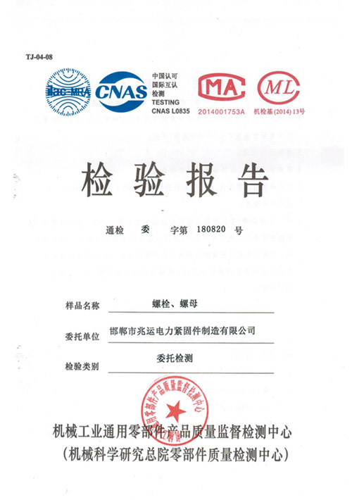 inspection report